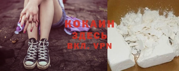 PSILOCYBIN Лабытнанги