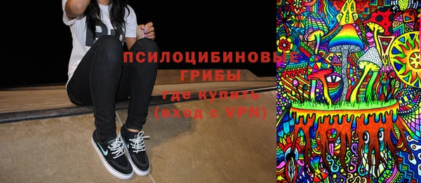 PSILOCYBIN Лабытнанги