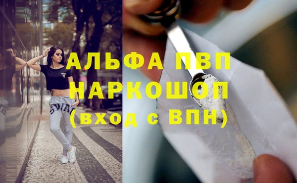 прущие крисы Ладушкин
