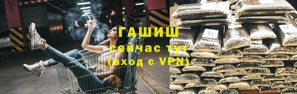 PSILOCYBIN Лабытнанги