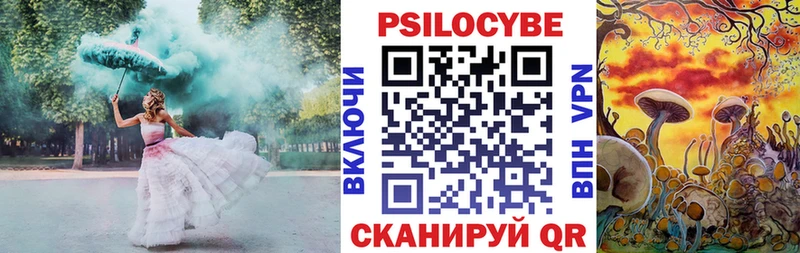 кракен ссылки  Белоусово  Псилоцибиновые грибы Psilocybe 